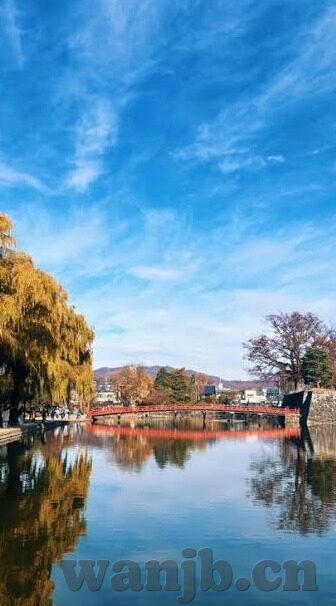 中文字幕迅雷-探索中文字幕与迅雷下载的便捷融合